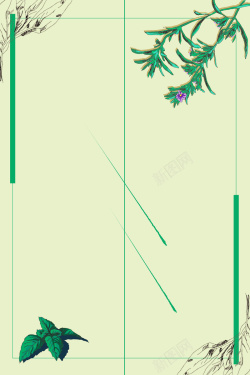 药草海报植物药草海报背景高清图片
