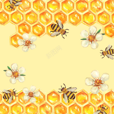 手绘蜂巢与花和蜜蜂矢量图背景