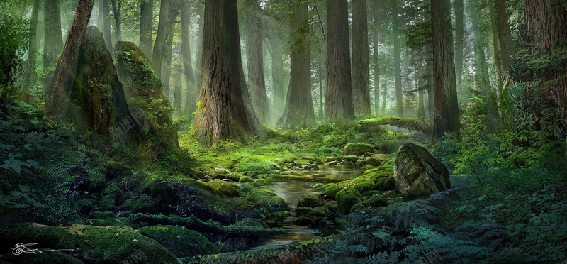梦幻童话森林背景背景