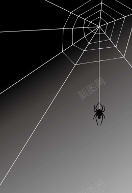 黑色蜘蛛网背景矢量图摄影图片