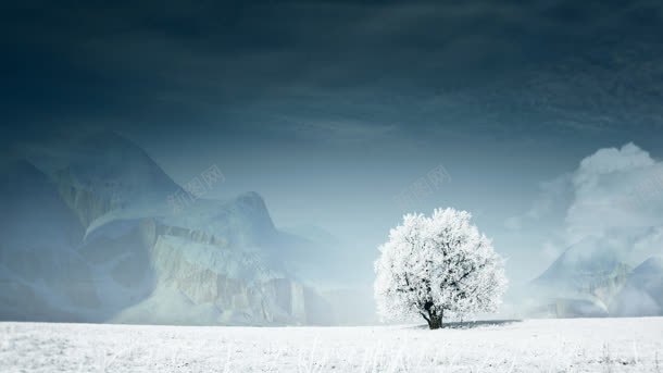 下雪天树木结冰壁纸jpg设计背景_88icon https://88icon.com 下雪天 壁纸 树木 结冰 雪花屏幕