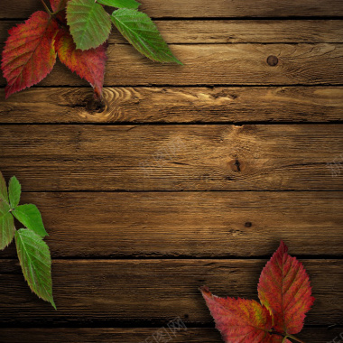 木板上的叶子背景图背景