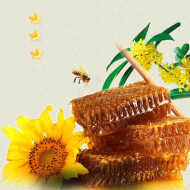 简约蜂巢蜂蜜食品PSD分层主图背景背景