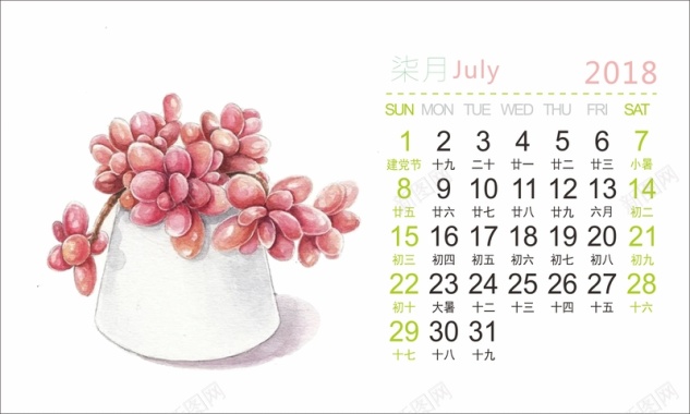 2018年手绘多肉植物清新台历7月份背景