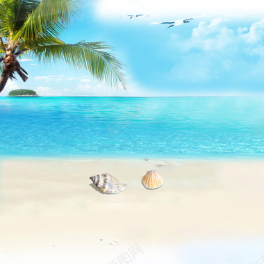 夏日清新沙滩贝壳椰树背景背景