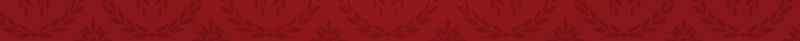 高端晚宴新年红色喜庆菜谱矢量背景ai设计背景_88icon https://88icon.com 开心 新年 晚宴海报 矢量 红色喜庆海报 聚会 菜单 菜谱 质感纹理刀叉 金黄色刀叉 高端餐厅 矢量图
