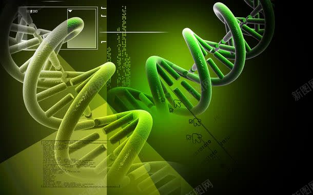 DNA结构背景jpg设计背景_88icon https://88icon.com DNA结构 DNA结构背景图片 DNA结构背景图片素材下载 医学背景 医学背景图片 医疗科技 医疗背景 图片素材 科技背景 背景花边