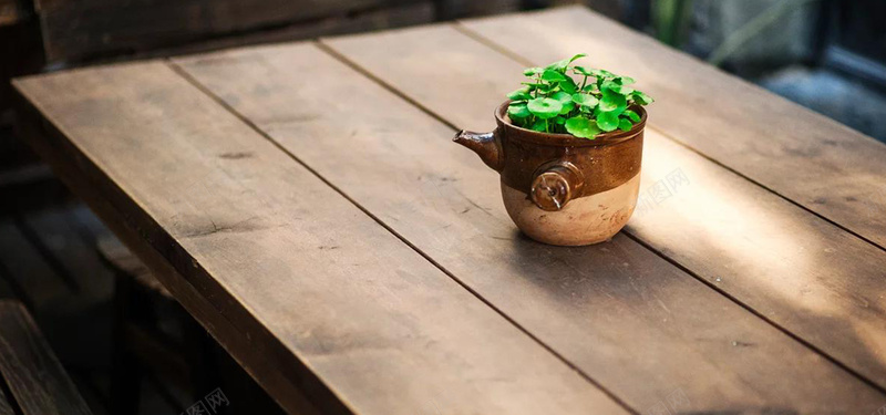 静物背景图jpg_88icon https://88icon.com 摄影 桌子 植物 海报banner 绿色 静物 风景