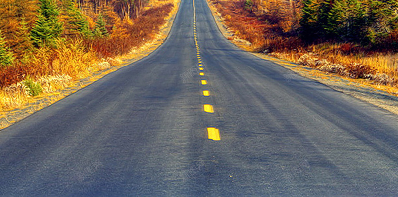 蜿蜒至远方的道路jpg_88icon https://88icon.com 天空 摄影 明快 植物 欢乐 蓝色 道路 风景 马路虚线 黄色风景