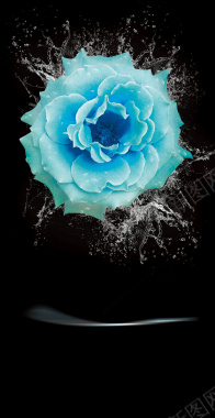 蓝色花卉化妆品海报背景背景