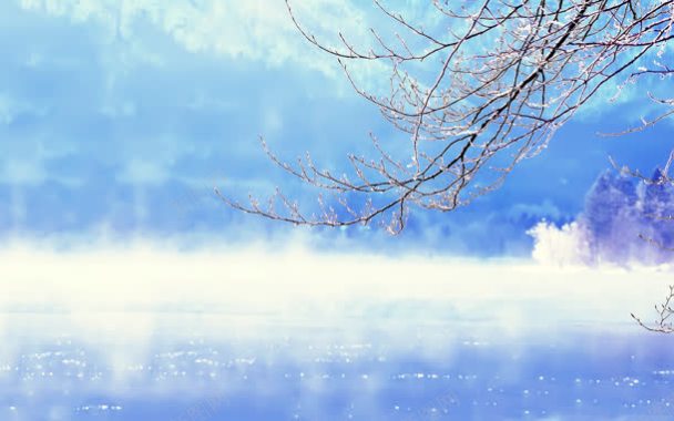 冬天雪景枝桠树木背景