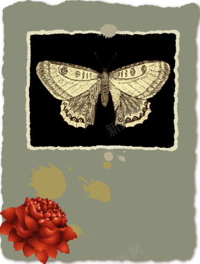 照片蝴蝶复古做旧撕页撕痕纸张玫瑰海报背景矢量图背景