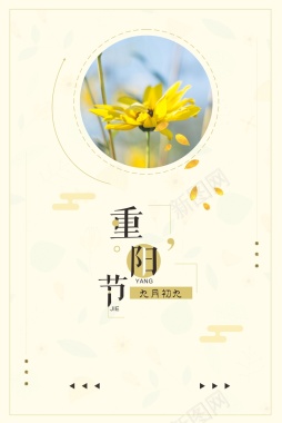 黄色唯美小清新重阳节背景背景