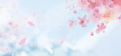 樱花樱花节主题海报背景高清图片