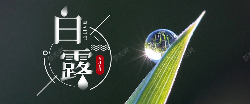 二十四节气白露水珠banner海报psd设计背景_88icon https://88icon.com 二十四节气 摄影 水珠 白露 节气 露水 露珠