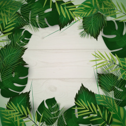 小丛林植被绿色背景矢量图高清图片