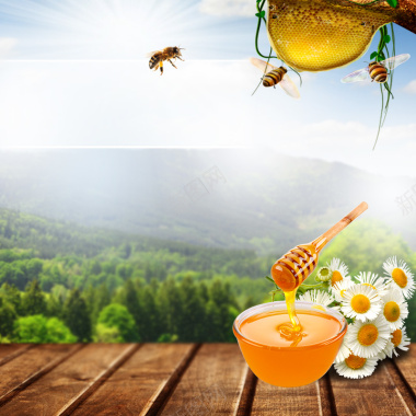 森林蜂蜜蜂巢PSD分层主图背景背景