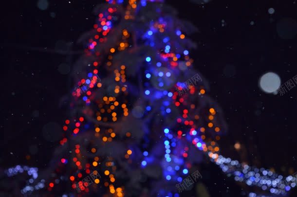 夜空模糊美丽圣诞树jpg设计背景_88icon https://88icon.com 圣诞树 夜空 模糊 美丽