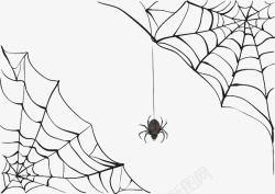 卡通蜘蛛网手绘黑色蜘蛛网丝高清图片