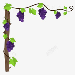 手绘葡萄树简洁大方装饰手绘葡萄藤图高清图片