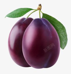 紫色西梅水果素材