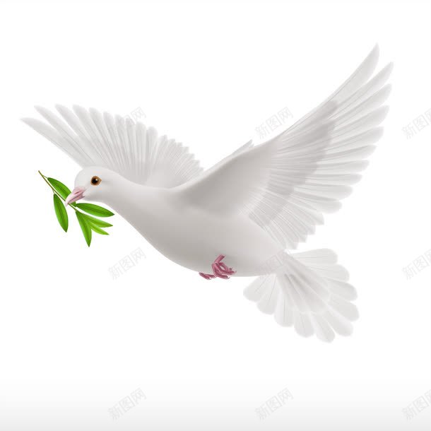 卡通白色鸽子png免抠素材_88icon https://88icon.com 卡通 叶子 唯美 白色 羽毛 翅膀 飞翔 鸽子