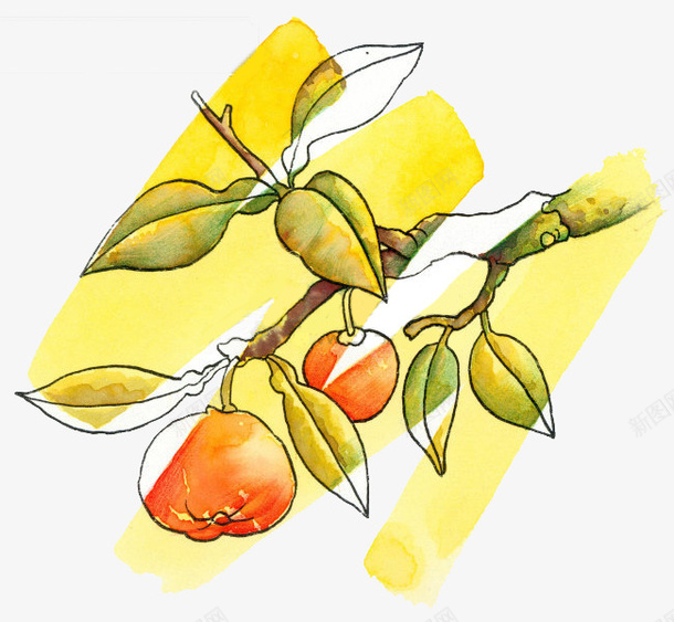 柑橘简笔涂鸦画png免抠素材_88icon https://88icon.com 叶子 果实 柑橘 树枝 植物 水果 涂鸦画 简笔 线描