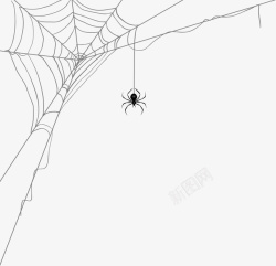 黑色蜘蛛黑色线条蜘蛛网高清图片