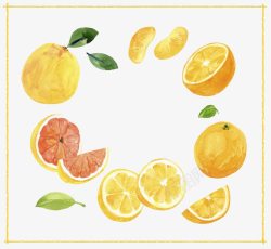 水彩西柚橙子插画高清图片