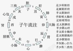 黄帝内经十二时辰养生图高清图片