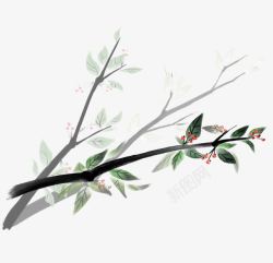 中国传统彩色水墨植物画素材