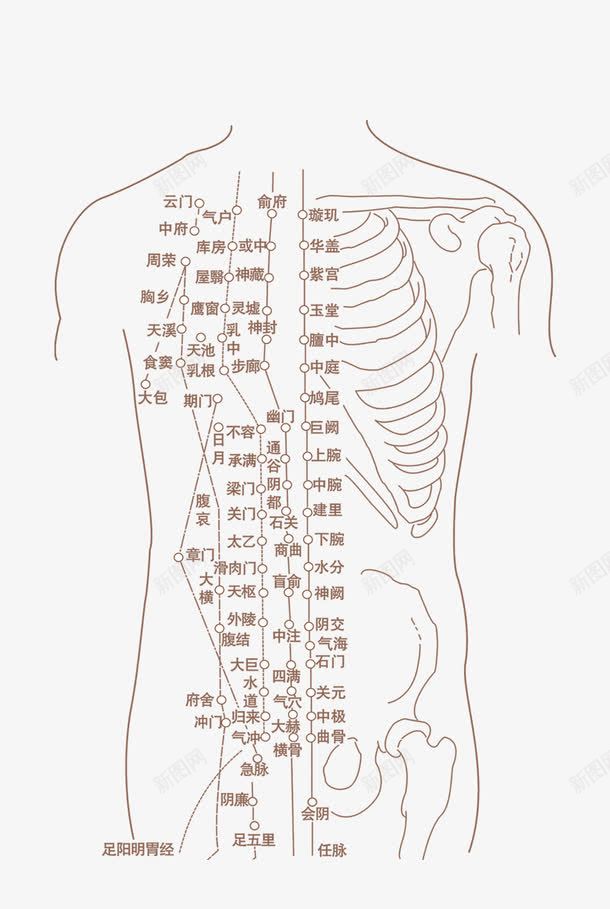 人体骨骼png免抠素材_88icon https://88icon.com png图形 中医 人体骨骼 人物 线条 装饰