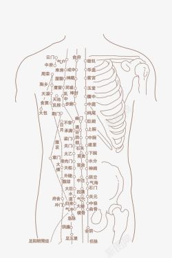 人体线条人体骨骼高清图片