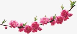 春天风景粉色桃花素材