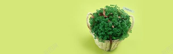 清新简约绿色植物盆栽海报背景jpg设计背景_88icon https://88icon.com 天猫背景 广告背景 心形背景 情人节背景 海报背景 淘宝背景 温馨背 爱心背景 轮播图背景 顶部海报