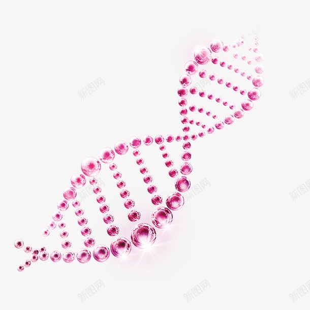 粉色链子泡泡png免抠素材_88icon https://88icon.com 分子 基因 粉色 链子