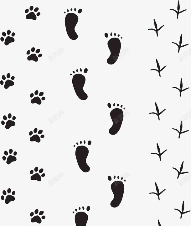 动物脚印剪影集合图png免抠素材_88icon https://88icon.com 兔子 兔子脚印 动物脚印 卡通爪子 痕迹 脚 脚剪影 轨迹 黑色