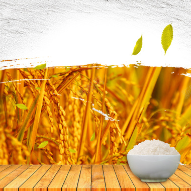 黄色稻米粮油米面PSD分层主图背景背景