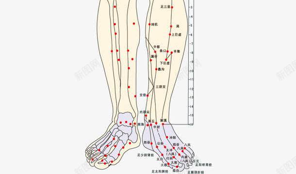 彩色手绘人体经络矢量图ai免抠素材_88icon https://88icon.com 人体经络 人体经脉 人体经脉图 人体设计 十二 卡通设计 古代经络图 彩色 手绘设计 矢量图 经络图 背部