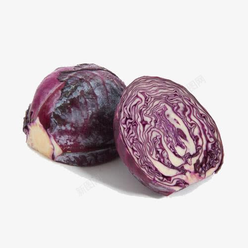 蔬菜紫甘蓝png免抠素材_88icon https://88icon.com 紫甘蓝