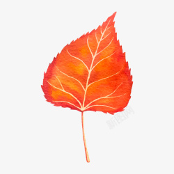心形手绘背景红色叶子高清图片