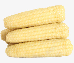 玉米海报煮熟的白色粘玉米高清图片