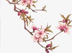 桃花树树枝画手绘桃花树枝高清图片