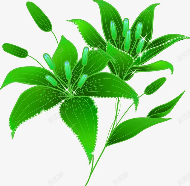 春天绿色母亲节装饰植物png免抠素材_88icon https://88icon.com 春天 植物 母亲节 绿色 装饰