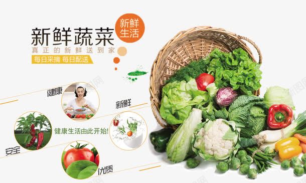 新鲜蔬菜宣传展板png免抠素材_88icon https://88icon.com 宣传展板 新鲜蔬菜 设计 鲜蔬菜宣传展板