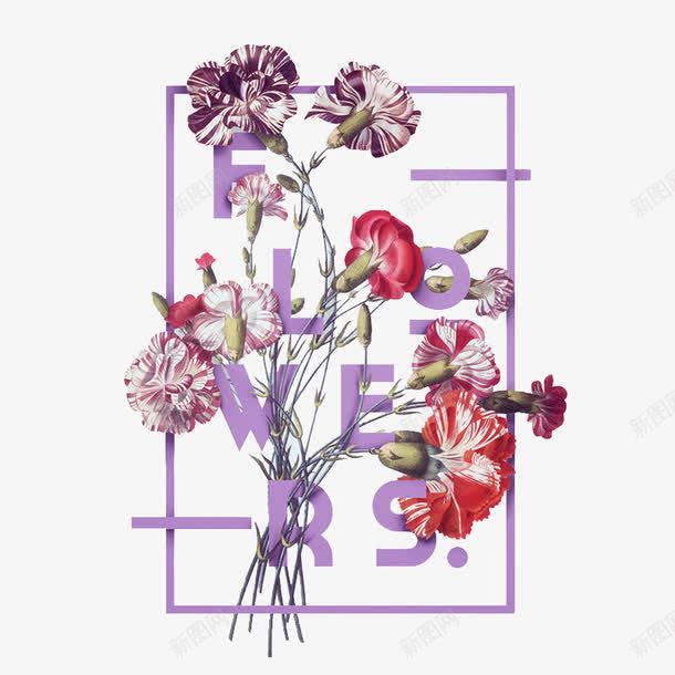 红色康乃馨png免抠素材_88icon https://88icon.com 康乃馨 植物 紫色 英文字母 边框 鲜花