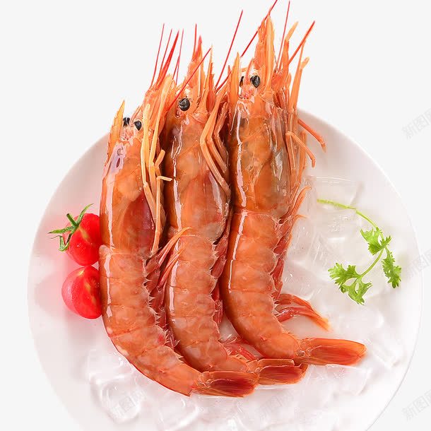 新鲜大红虾png免抠素材_88icon https://88icon.com 水产品 海鲜 红虾 蔬菜 虾子 食物