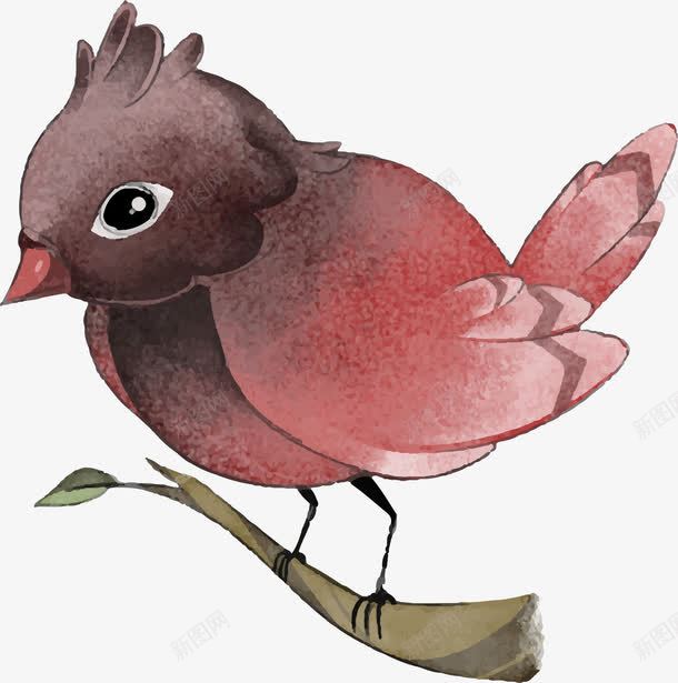 红色水彩春天小鸟png免抠素材_88icon https://88icon.com 手绘的鸟 春天 春天小鸟 春鸟 矢量png 红色的鸟