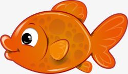 可爱金鱼实物图卡通金鱼高清图片