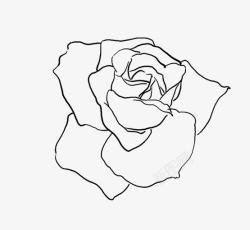 平坦着色线描玫瑰花高清图片